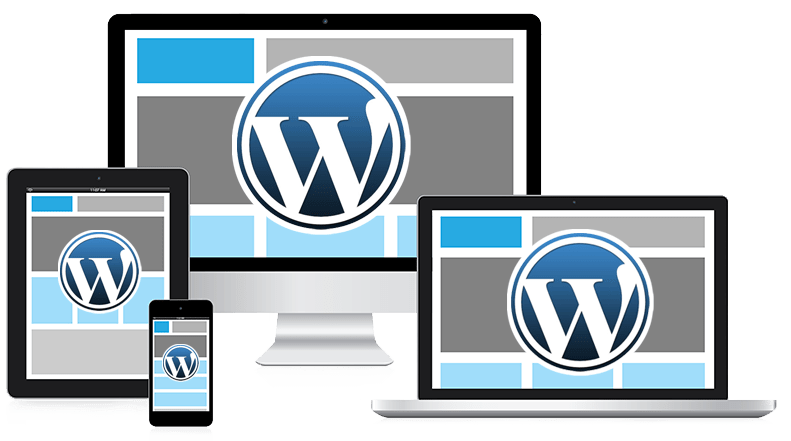 ASP.NET Web Development Services