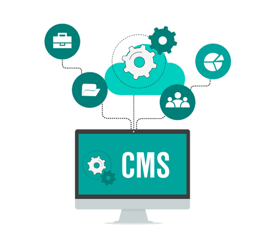 ASP.NET Web Development Services