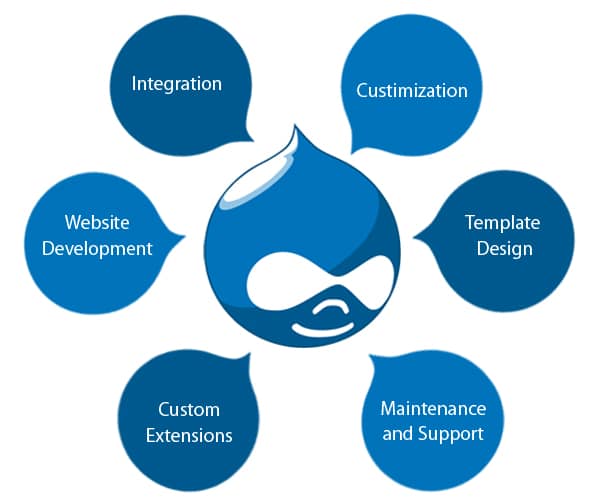 ASP.NET Web Development Services