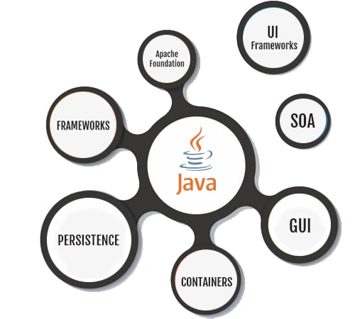 ASP.NET Web Development Services